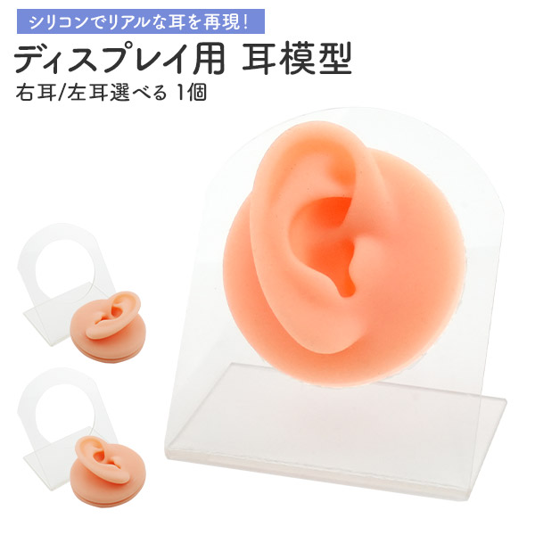 シリコンでリアルな耳を再現。　ディスプレイ用 耳模型 スタンド付き 右耳/左耳